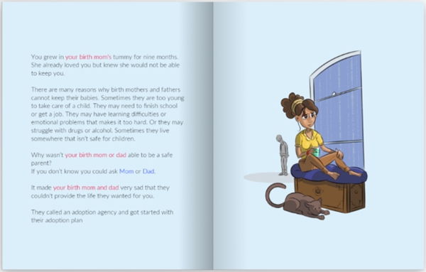 Show details for Adopted & Adored | 5-8 years | Closed, foster | Hardback