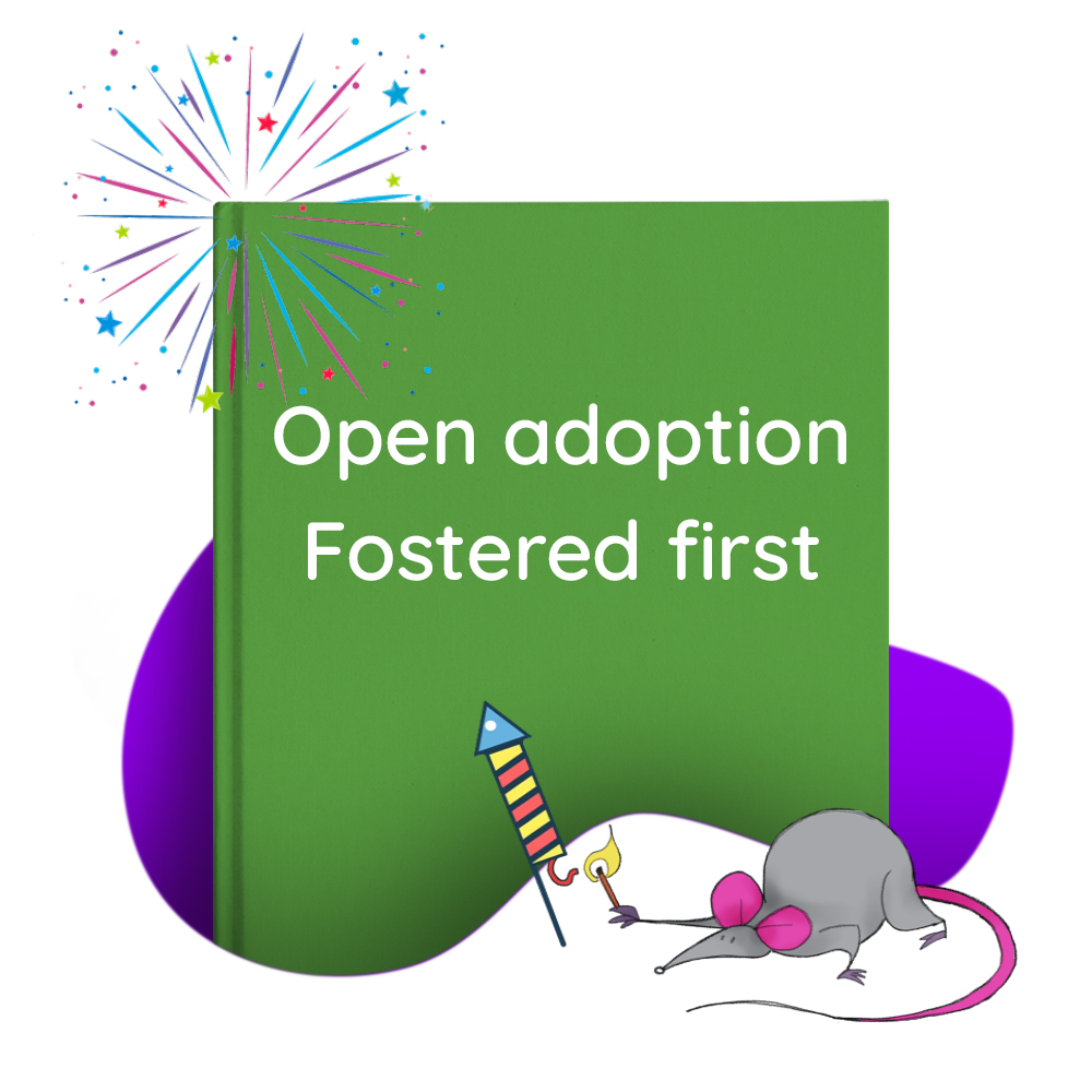 Picture for category Open adoption, fostered first