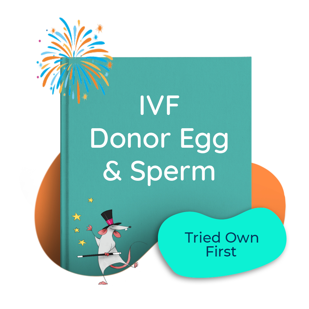 Picture of The Magic of You (photos) | Two Moms | Donor Egg and Sperm (tried own first)